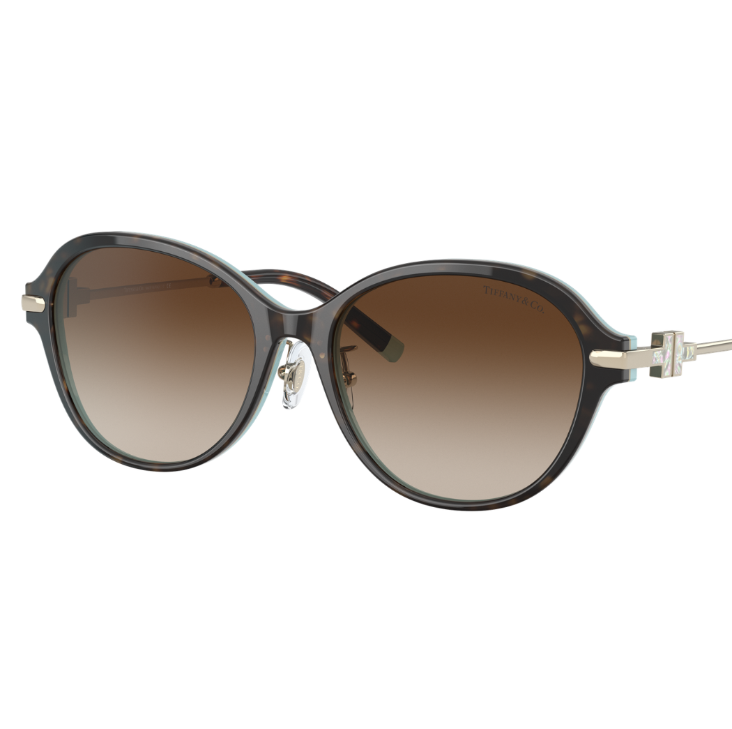 金鳳堂_新宿髙島屋店_ﾒｶﾞﾈﾌｪｽﾃｨﾊﾞﾙ_お知らせ