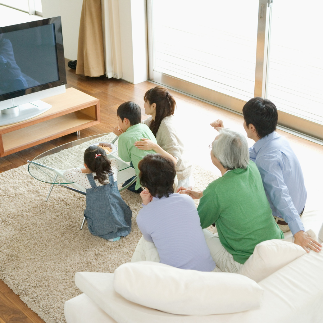 金鳳堂_室内専用_ﾚﾝｽﾞ提案